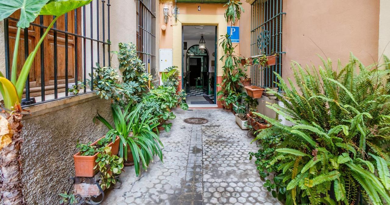 Apartamentos Sta Maria La Blanca Sevilla Bagian luar foto